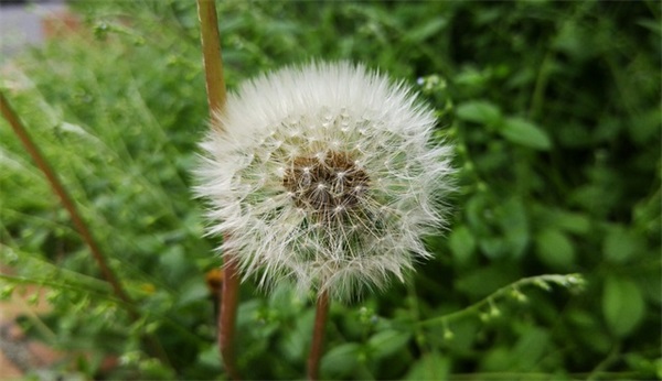 公司年会晚宴主持词范例(精选4篇)